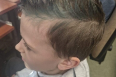 Resized_image0000001