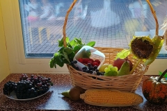 IMG-20261005-WA0036