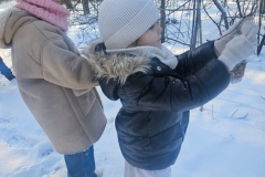 IMG-20260116-WA0016