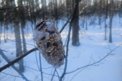 IMG-20260116-WA0017