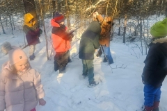 IMG-20260116-WA0018