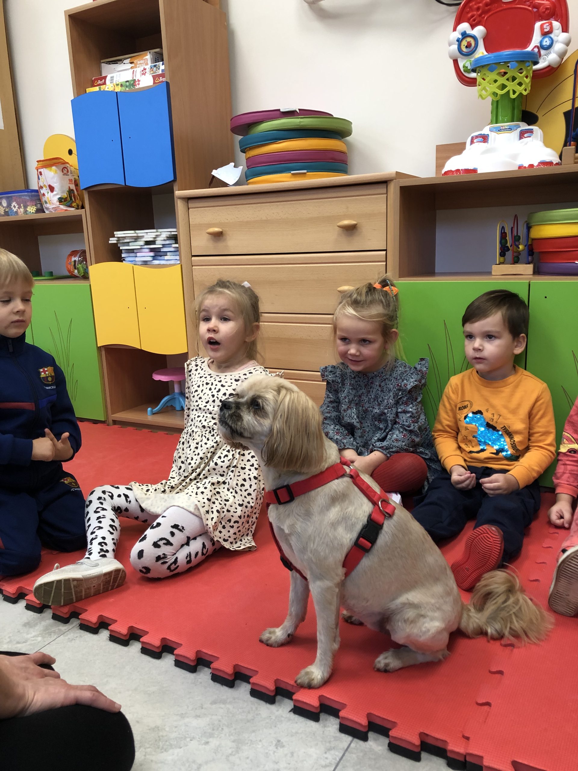 DOGOTERAPIA W PRZEDSZKOLU