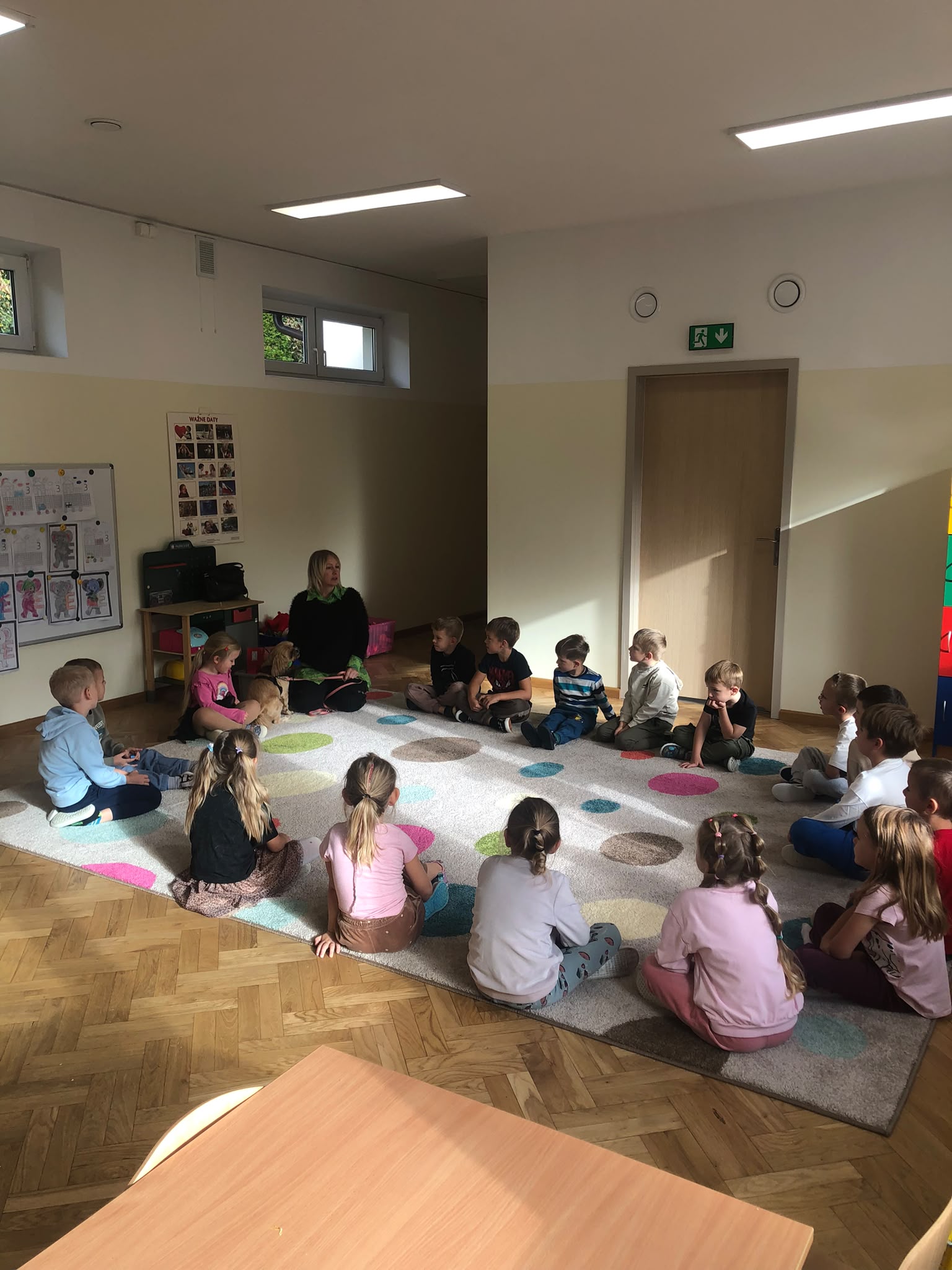 RÓŻNORODNOŚĆ W ŚWIECIE CZWORONOGÓW RÓŻNORODNOŚĆ W ŚWIECIE CZWORONOGÓW